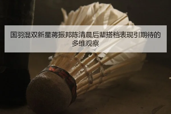 国羽混双新星蒋振邦陈清晨后辈搭档表现引期待的多维观察